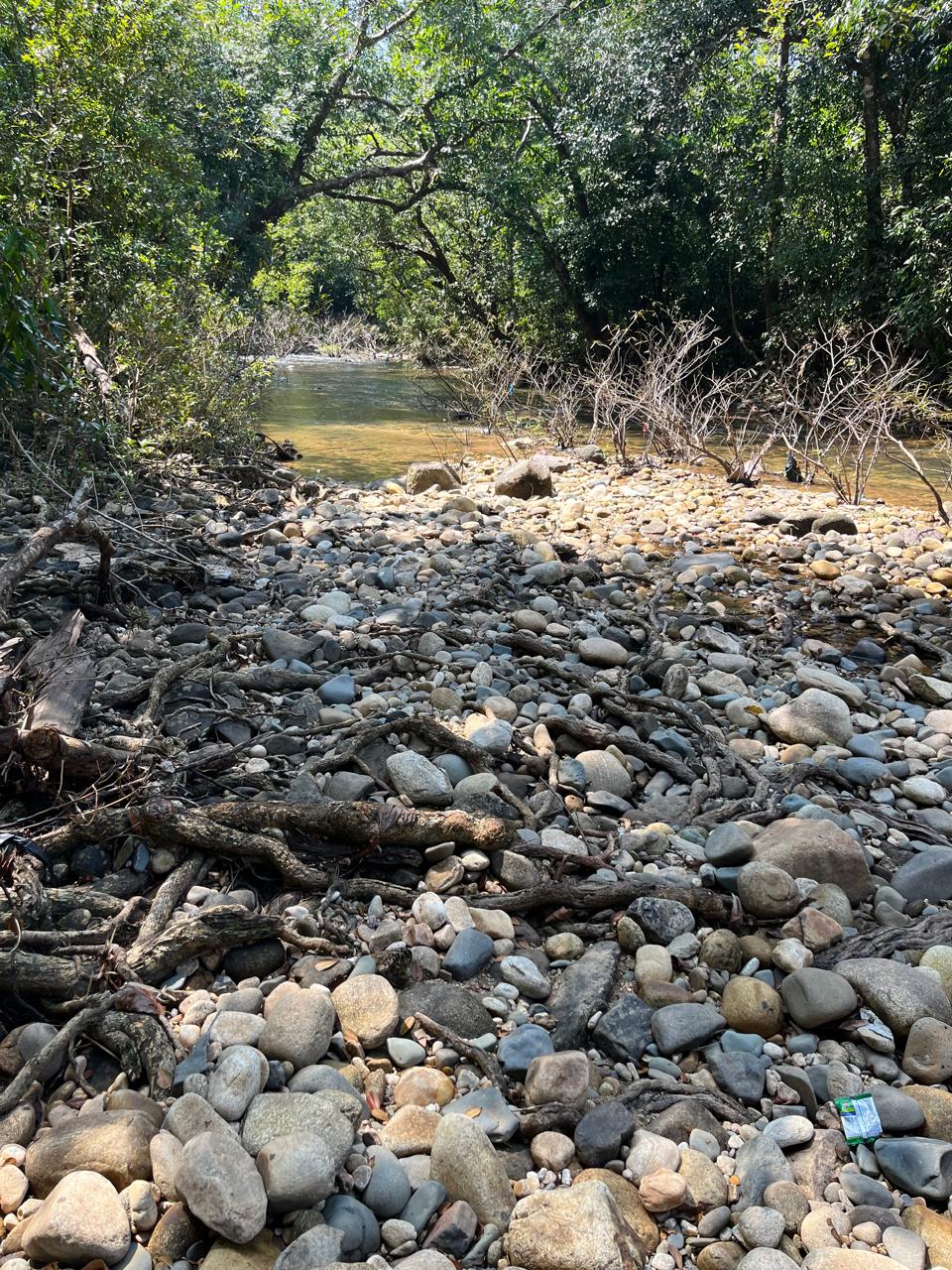 “Whispers of the River: A Tranquil Escape”